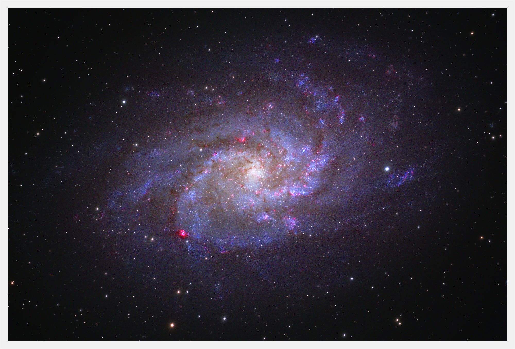 Sarah Mathews - Triangulum Galaxy Print