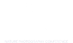 Lightchasers Conference logo