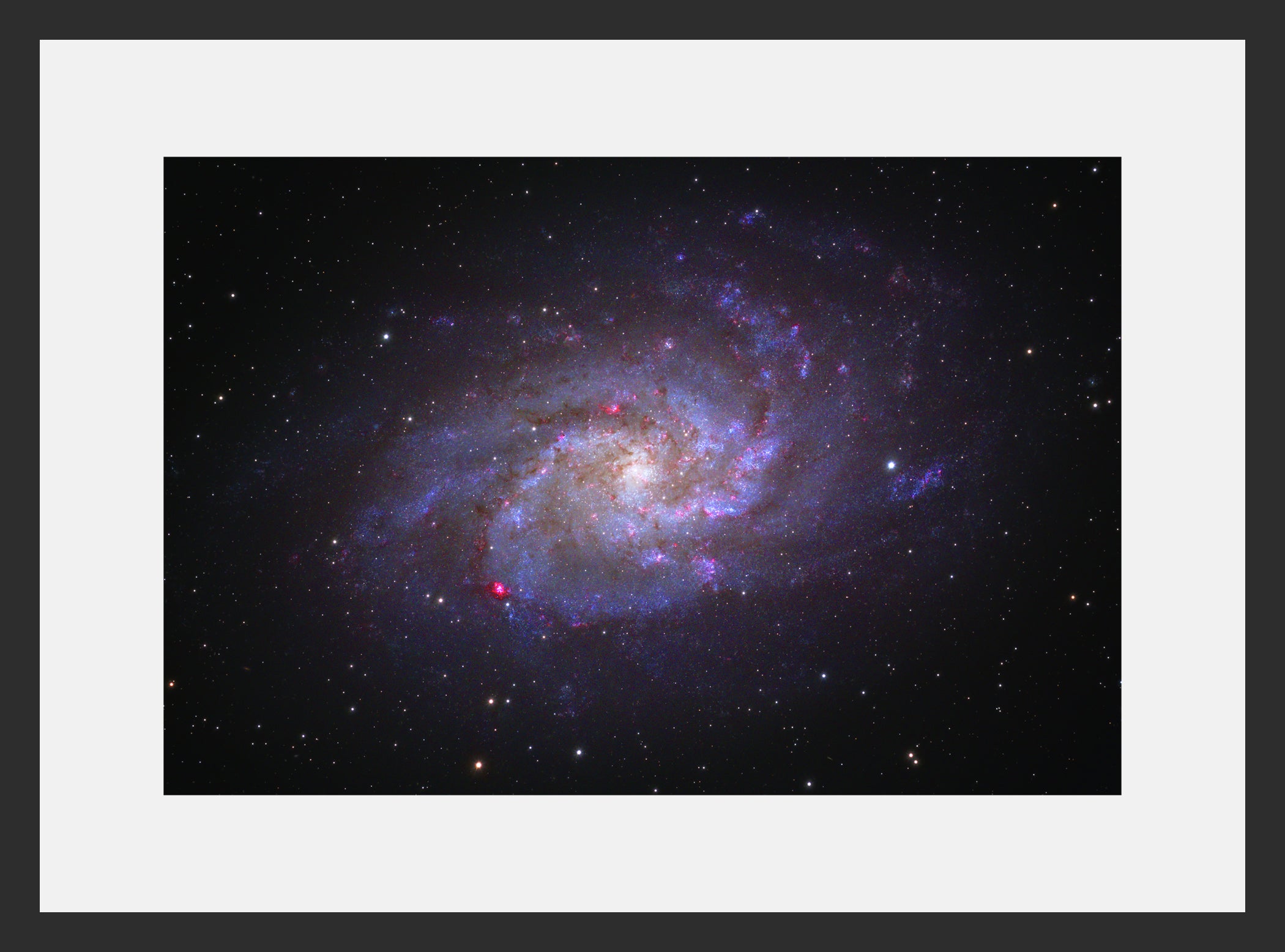 Sarah Mathews - Triangulum Galaxy Framed